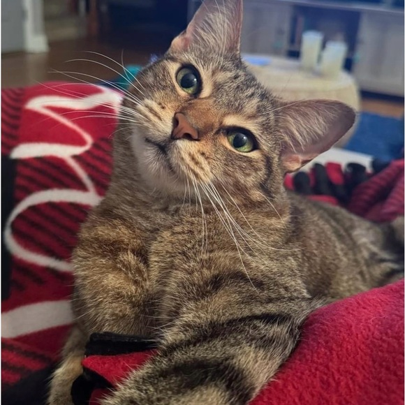 Meet your Posher, Anne - Picture 7 of 7